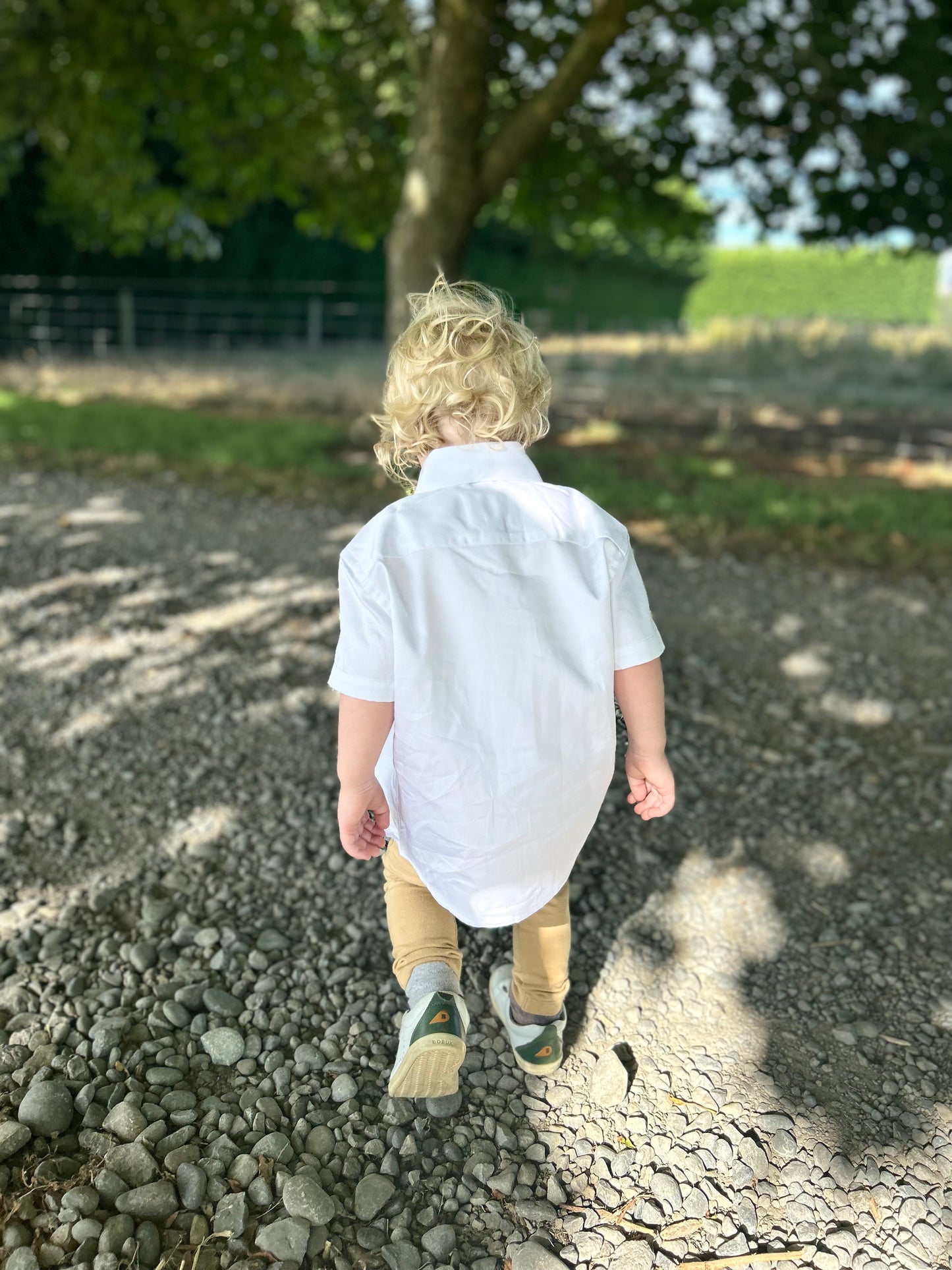 White Cotton Short Sleeve