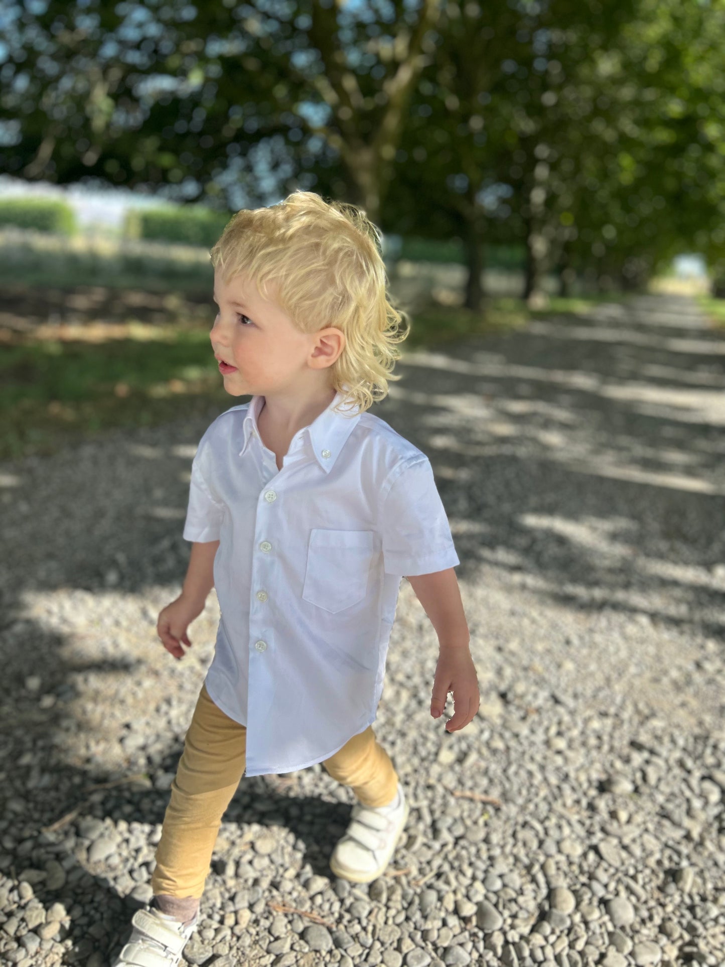 White Cotton Short Sleeve