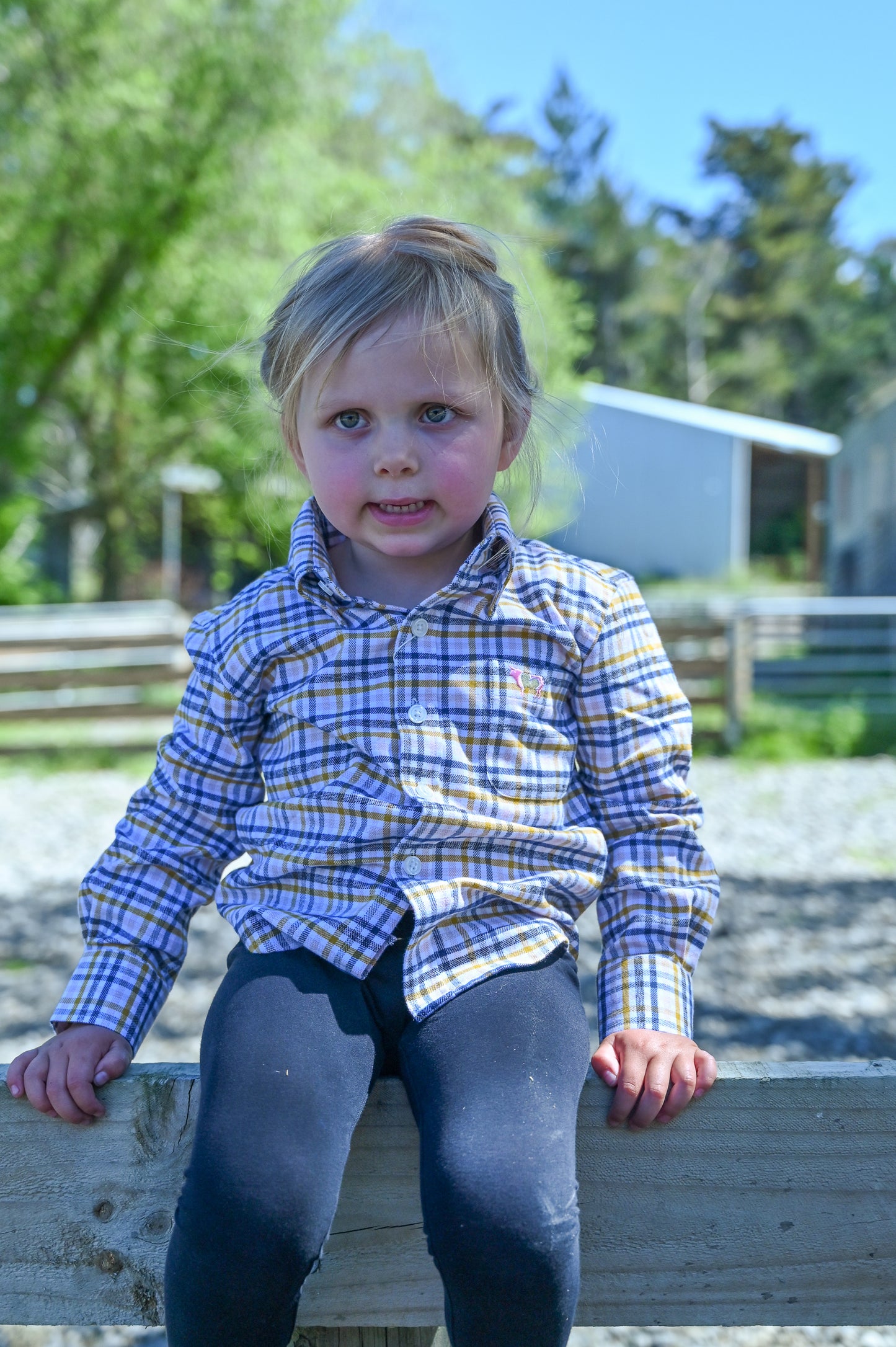 Daisy Flannel